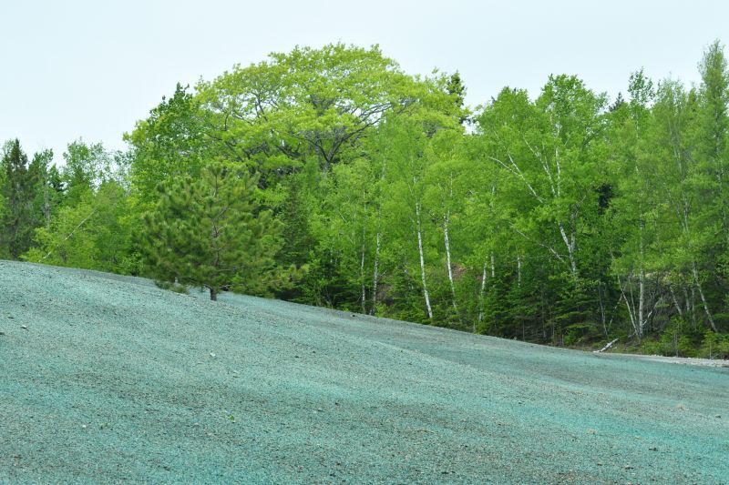 Hillside Weed Eating