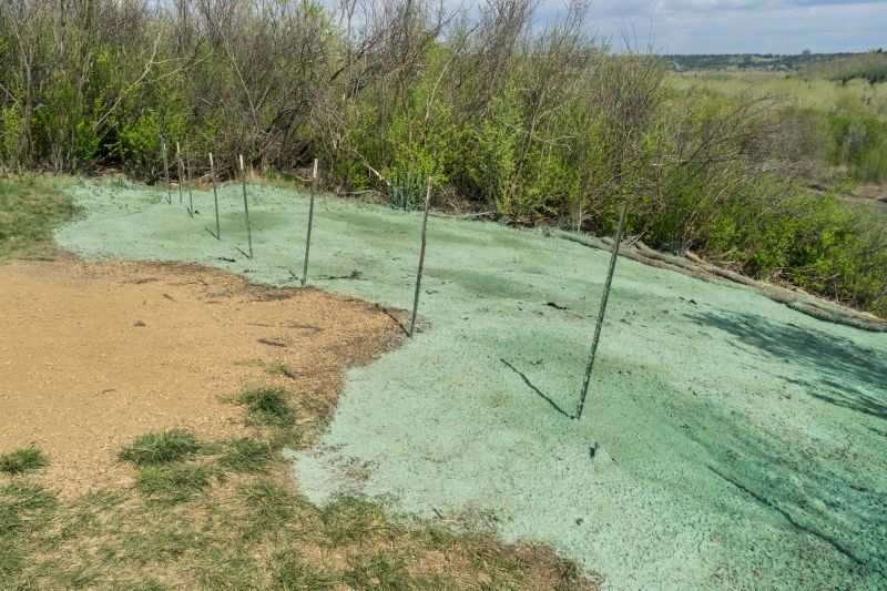 Hillside Weed Eating