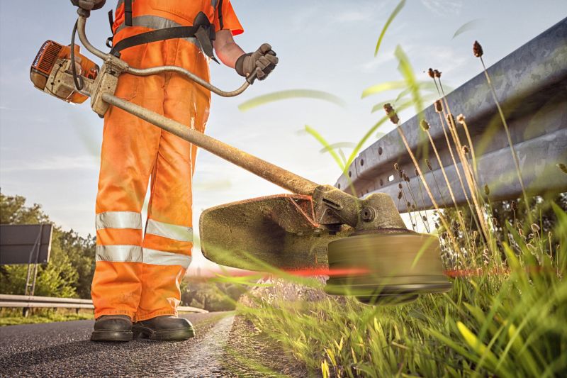 Hillside Weed Whacking