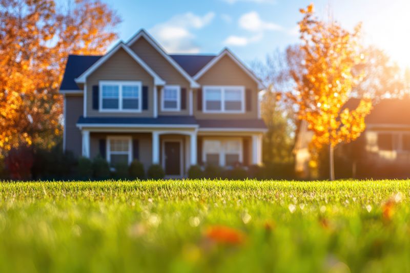 Home Lawn Maintenance