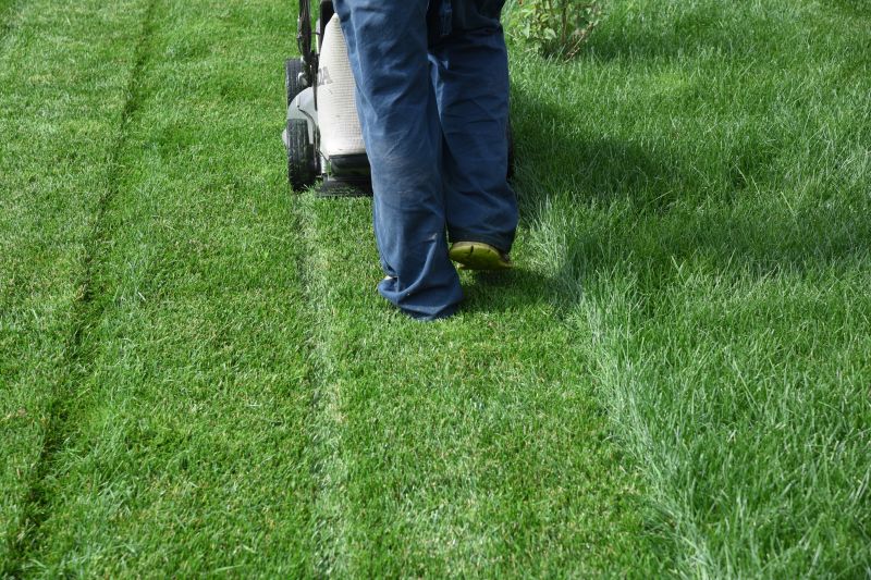 Lawn Care Service