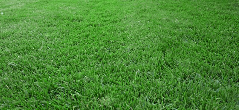 Lawn Maintenance