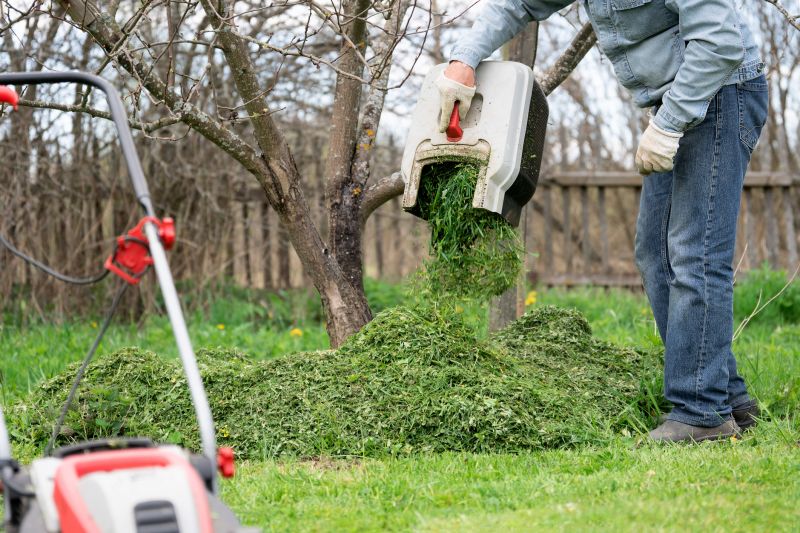 Lawn Maintenance
