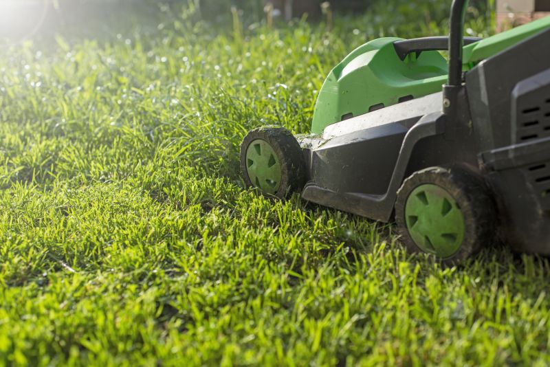 Lawn Mowing