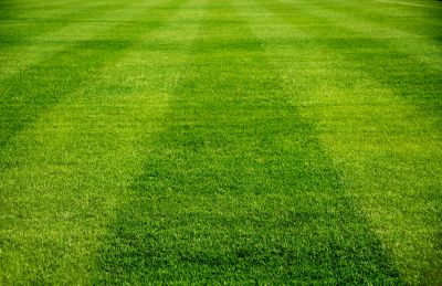 Well-Maintained Lawns