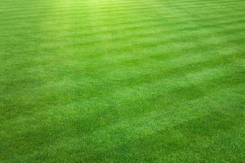 Finished Lawn