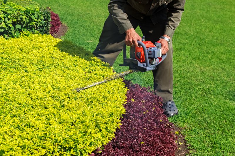 Lawn Trimming