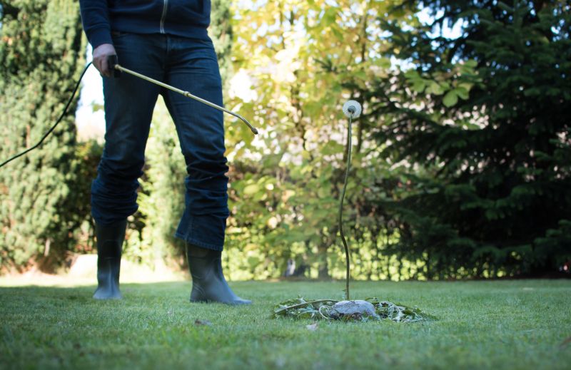 Lawn Weed Whacking
