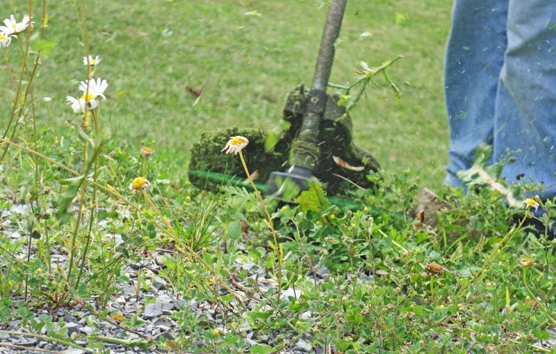 Lawn Weed Whacking