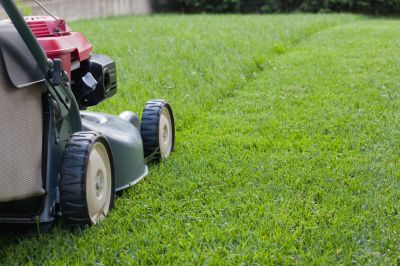 Leaf Mowing