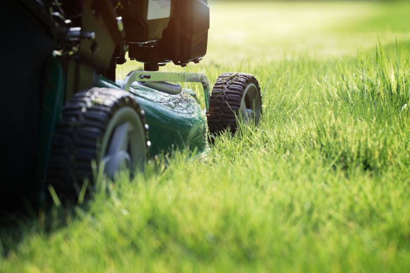 Leaves Mowing