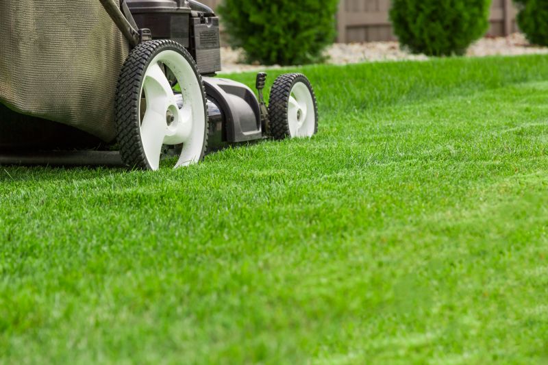 Leaves Mowing