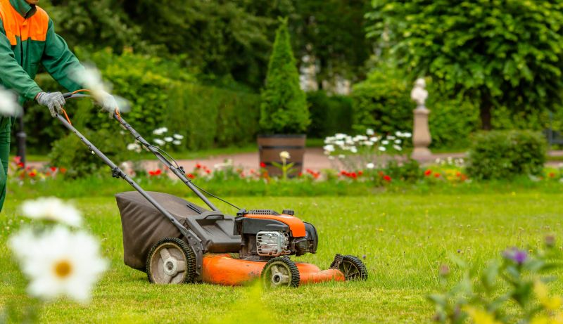 Lot Mowing