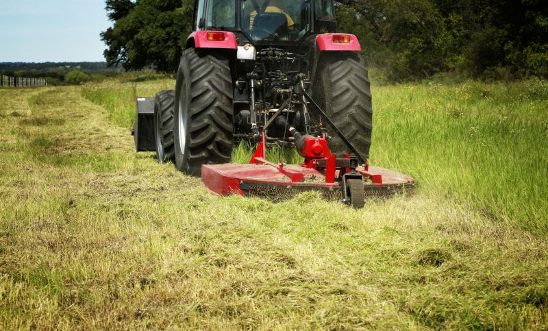 Lot Mowing