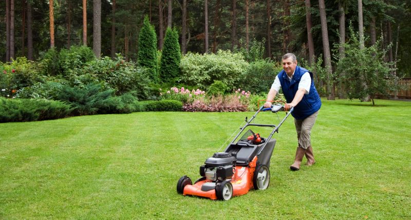 Residential Yard Mowing