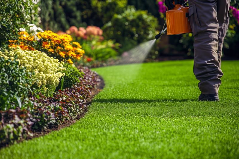 Routine Lawn Care