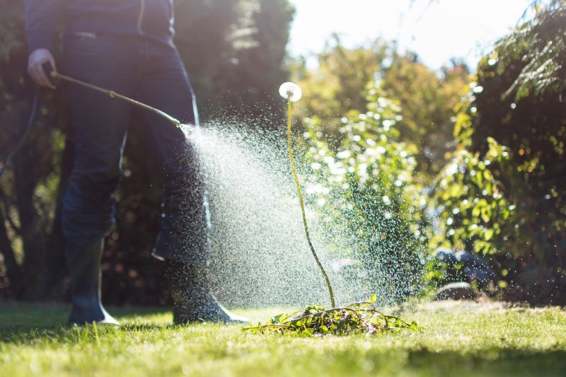 Routine Lawn Maintenance