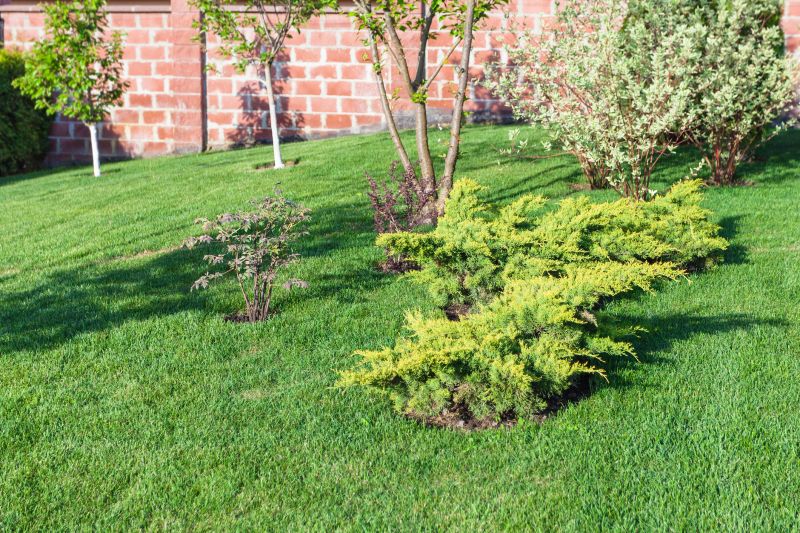 Sloped Area Mowing