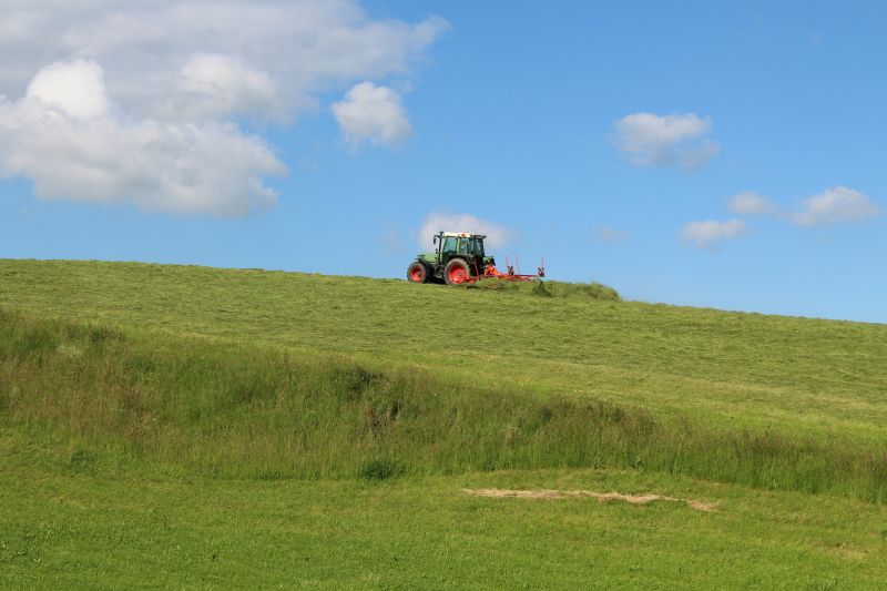 Sloped Area Mowing