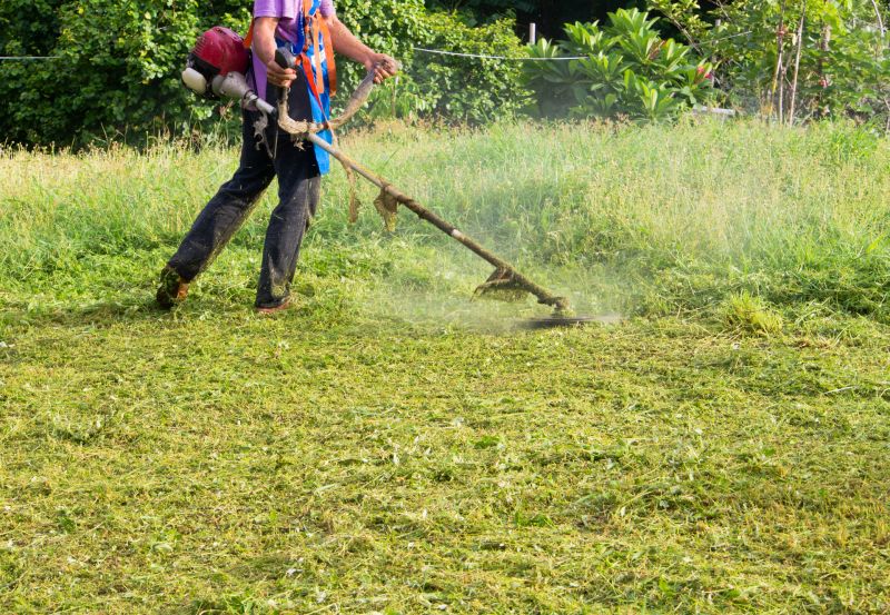 Sloped Area Mowing