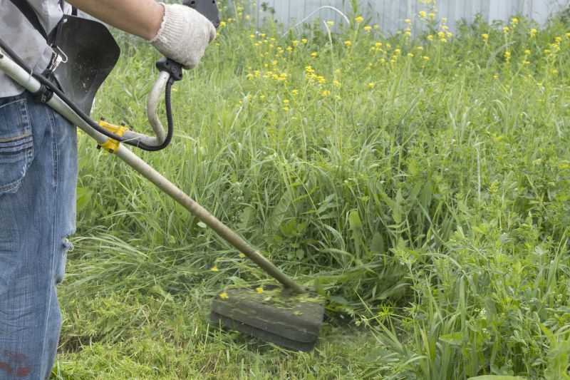 Spring Grass Trimming