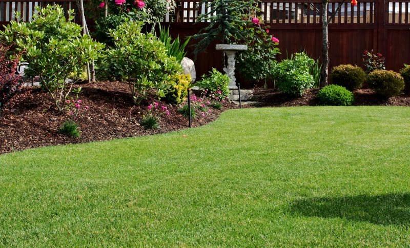 Spring Lawn Care