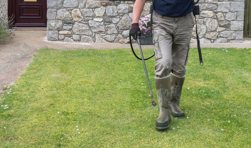 Spring Lawn Care