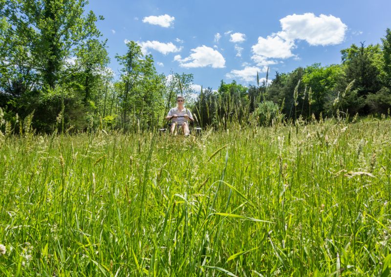 Tall Grass Cutting