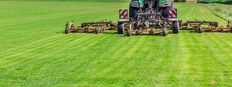 Tall Grass Mowing