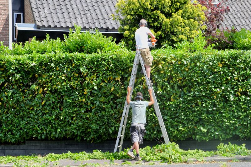 Tall Grass Trimming