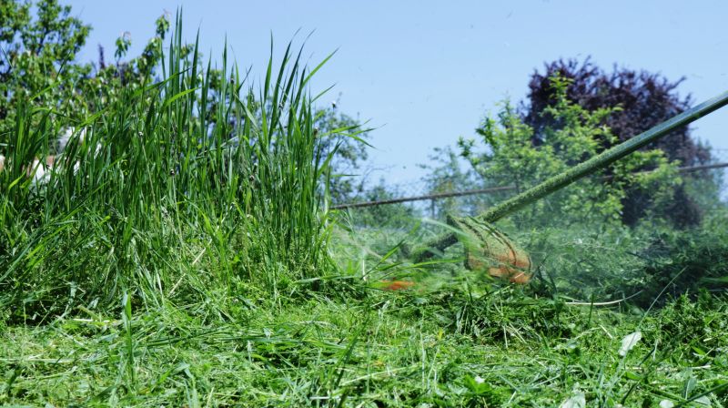 Tall Grass Trimming