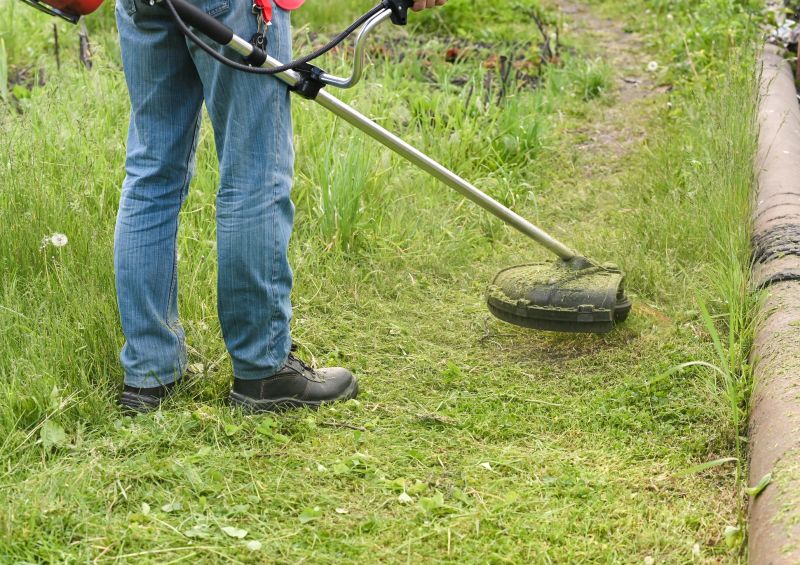 Tall Grass Trimming