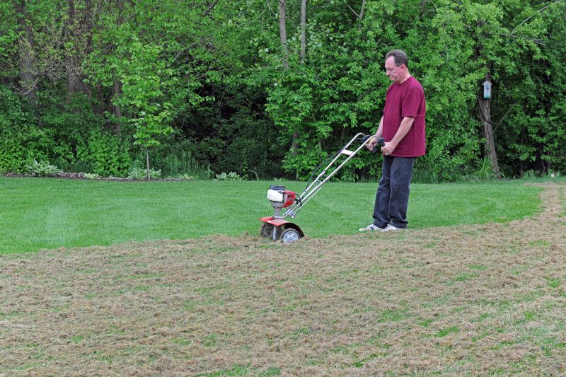 Thatch Removal Service
