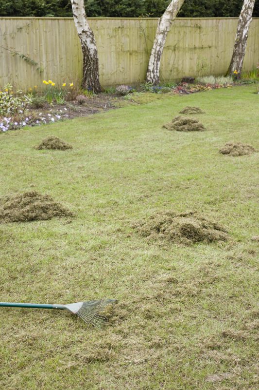 Thatch Removal Service