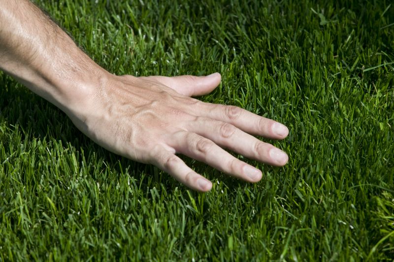 Turf Mowing