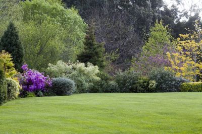 Yard Maintenance