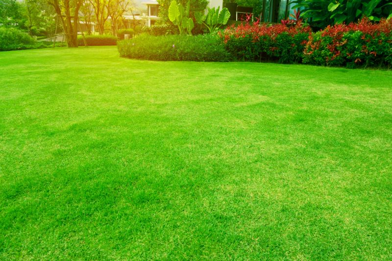 Yard Maintenance