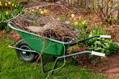 Yard Service