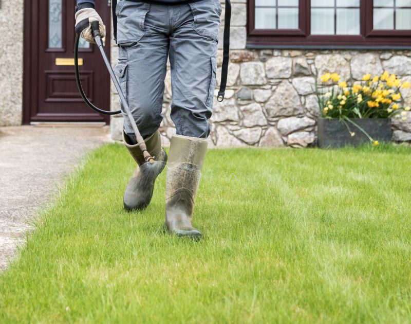 Yard Upkeep Service